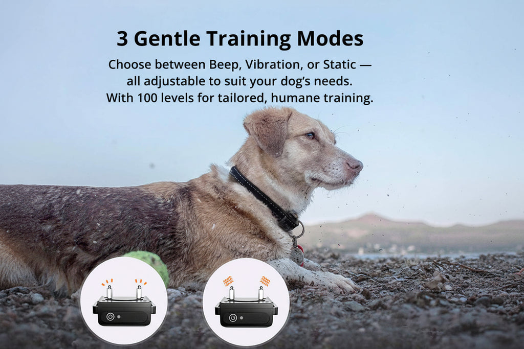 Long‑Range Waterproof Dog Training Collar with 3 Modes