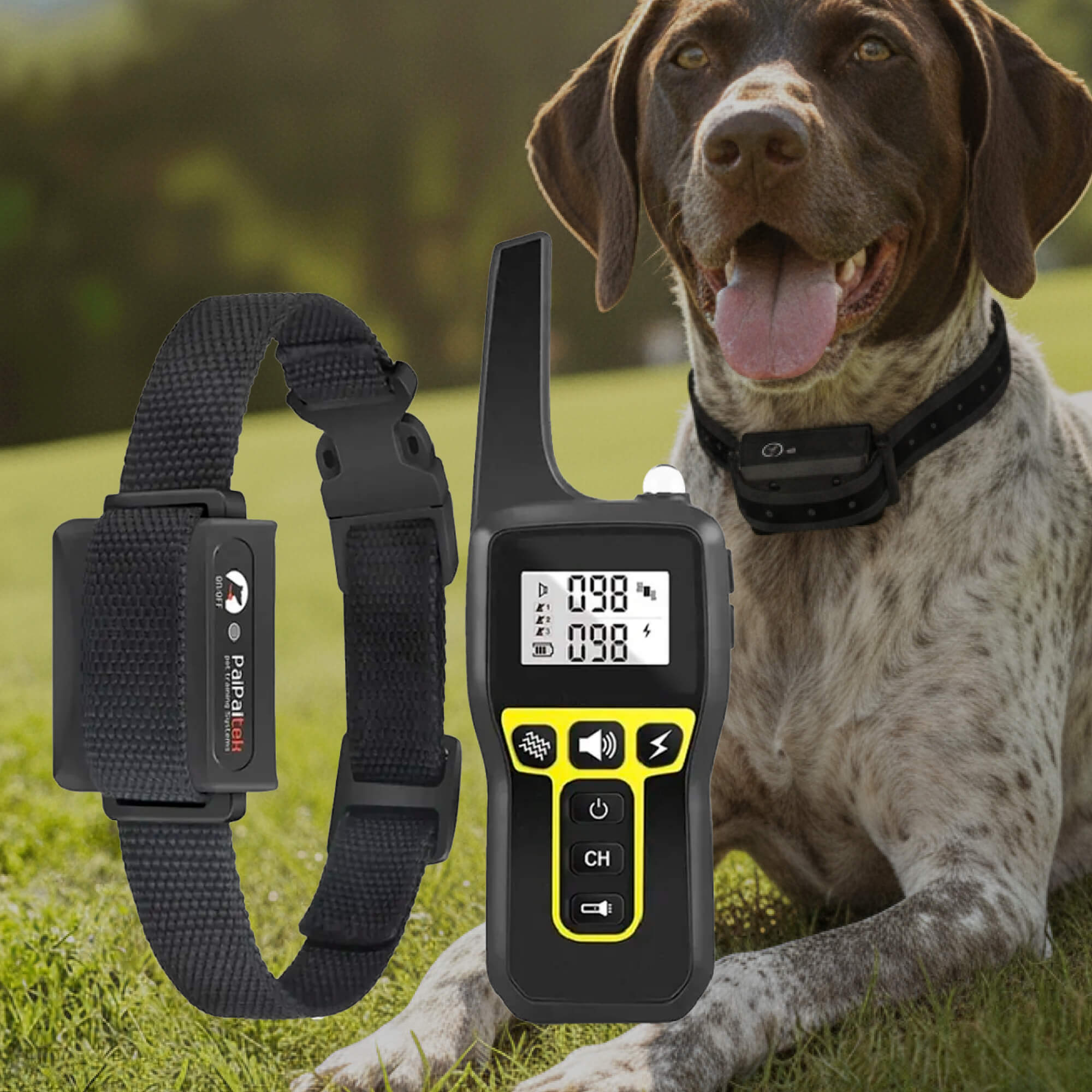 Long‑Range Waterproof Dog Training Collar with 3 Modes