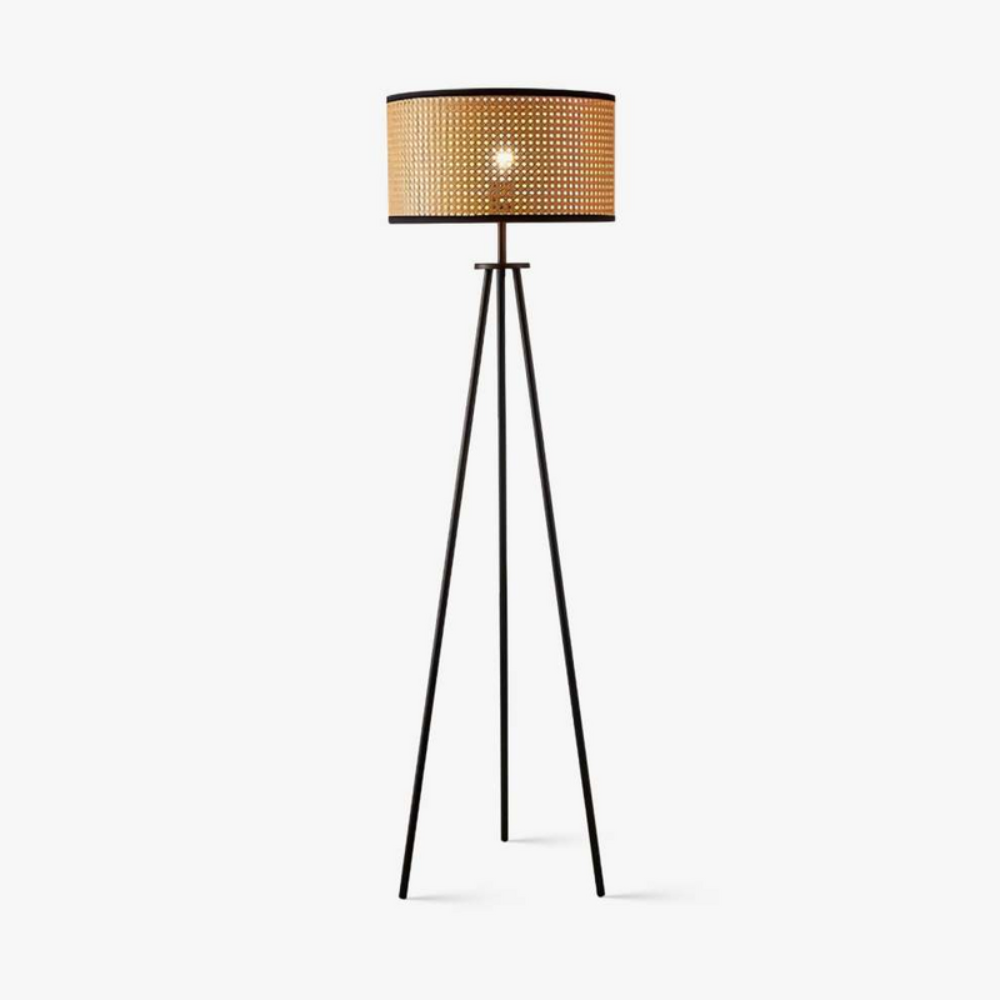 Modern Living Room Floor Lamp