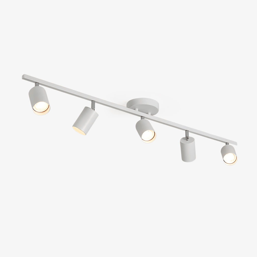 Decorative Ceiling Lights for Living Spaces & Galleries