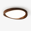 Decorative Ceiling Lights for Warm Ambience