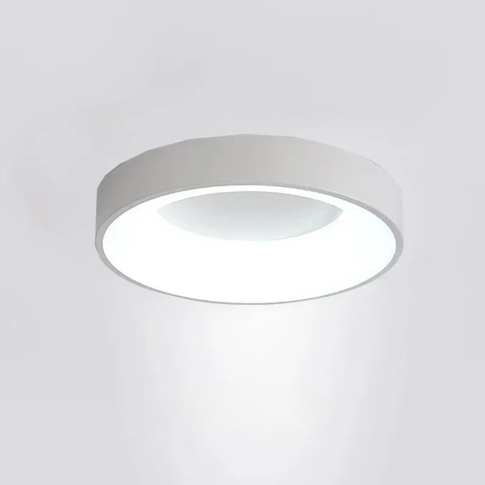 Modern Round Ceiling Light Dimmable LED Home Lighting