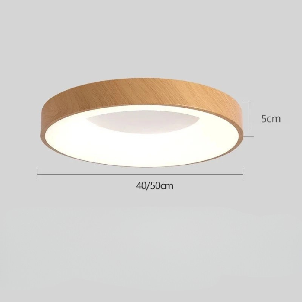 Modern Round Ceiling Light Dimmable LED Home Lighting