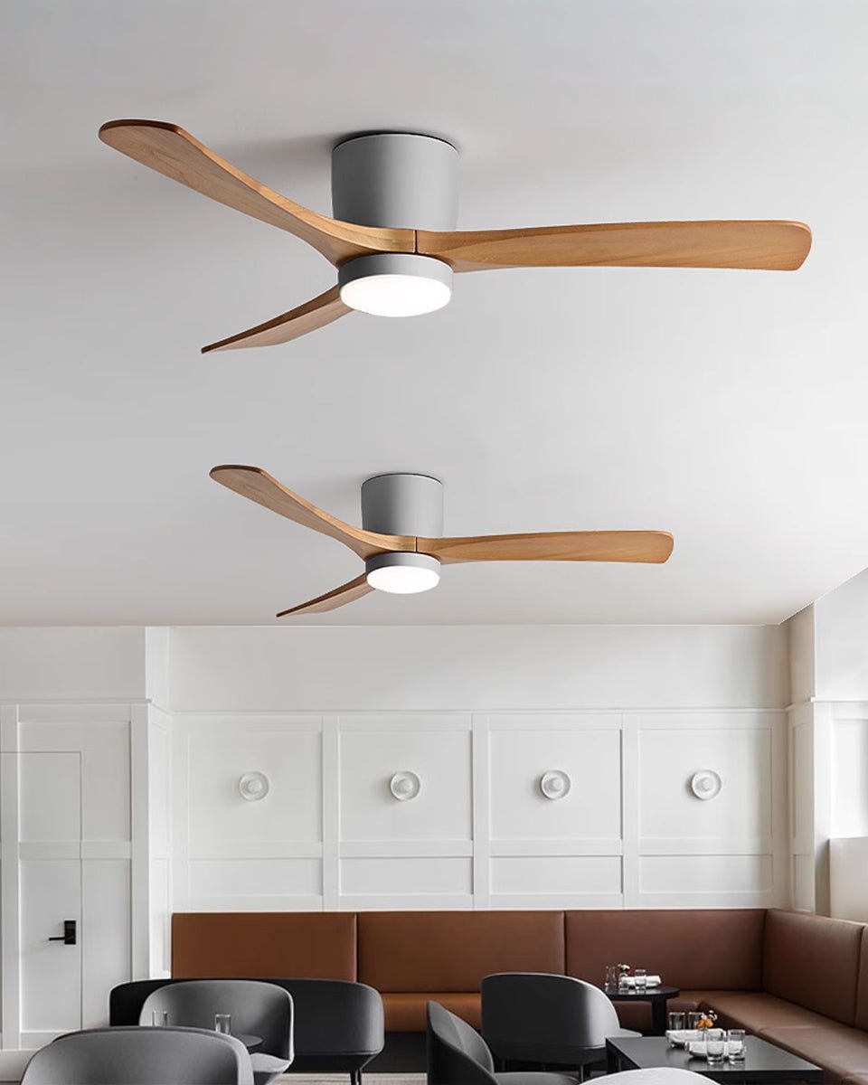 Modern Ceiling Fan with LED Light and Remote