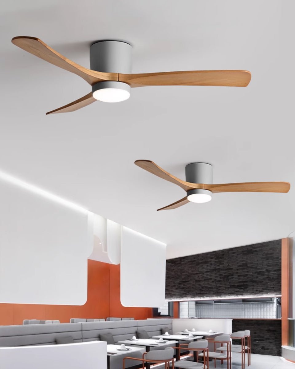 Modern Ceiling Fan with LED Light and Remote