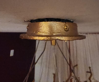 Sculptural Branch-Inspired Statement Pendant Light