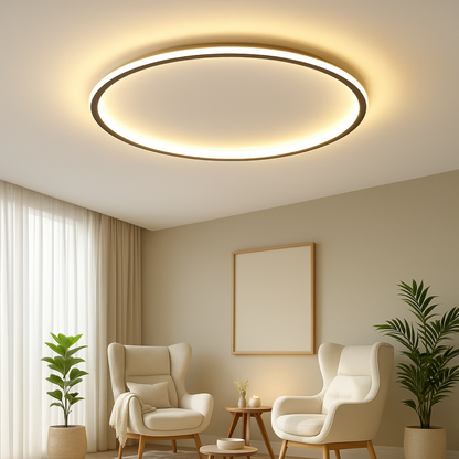Modern Flush Mount Ceiling Light for Living Room