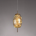Contemporary Pendant Light LED Hanging Ceiling Fixture