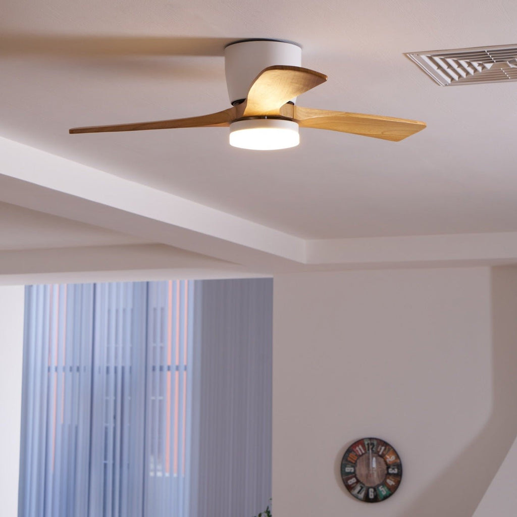 Modern Ceiling Fan with LED Light and Remote