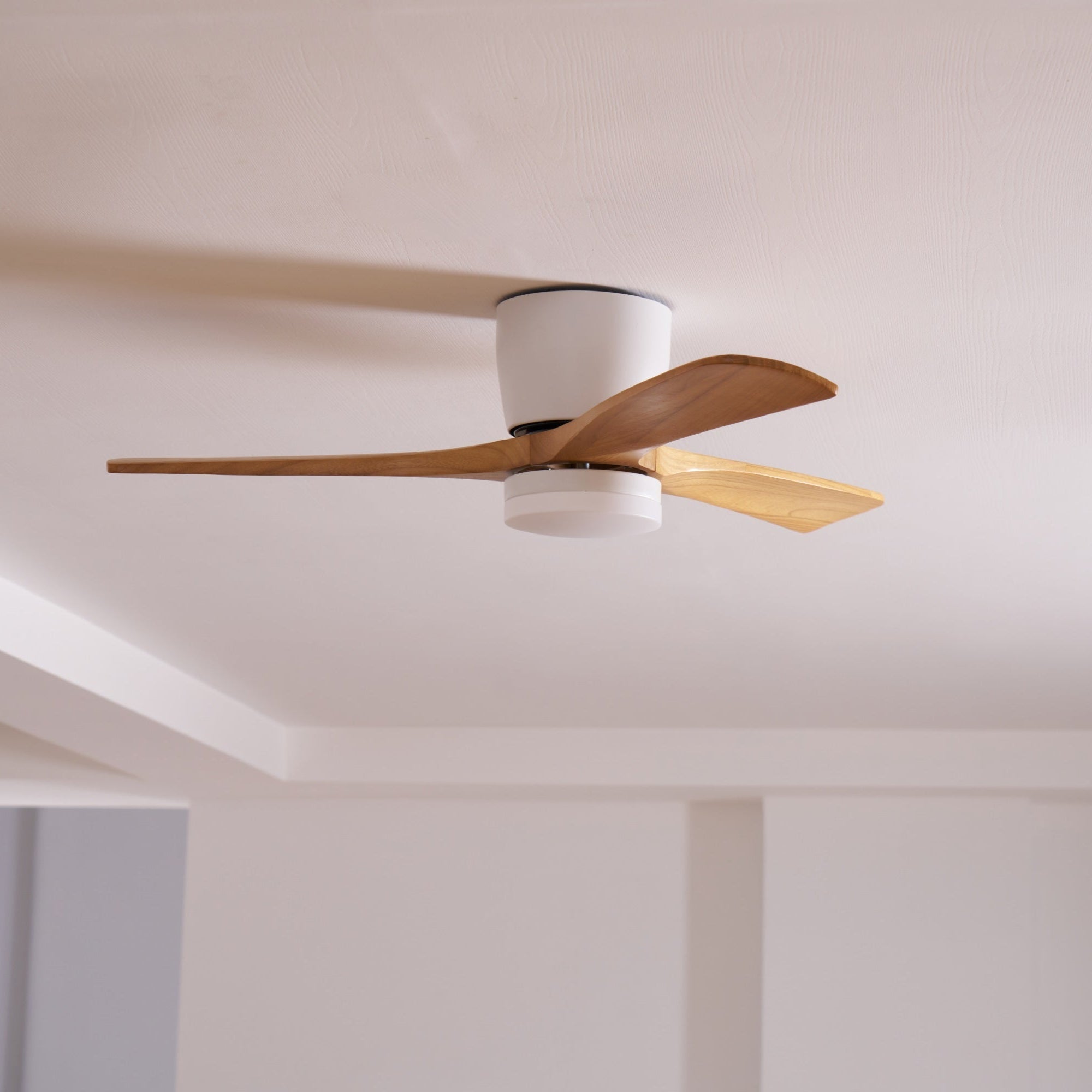 Modern Ceiling Fan with LED Light and Remote