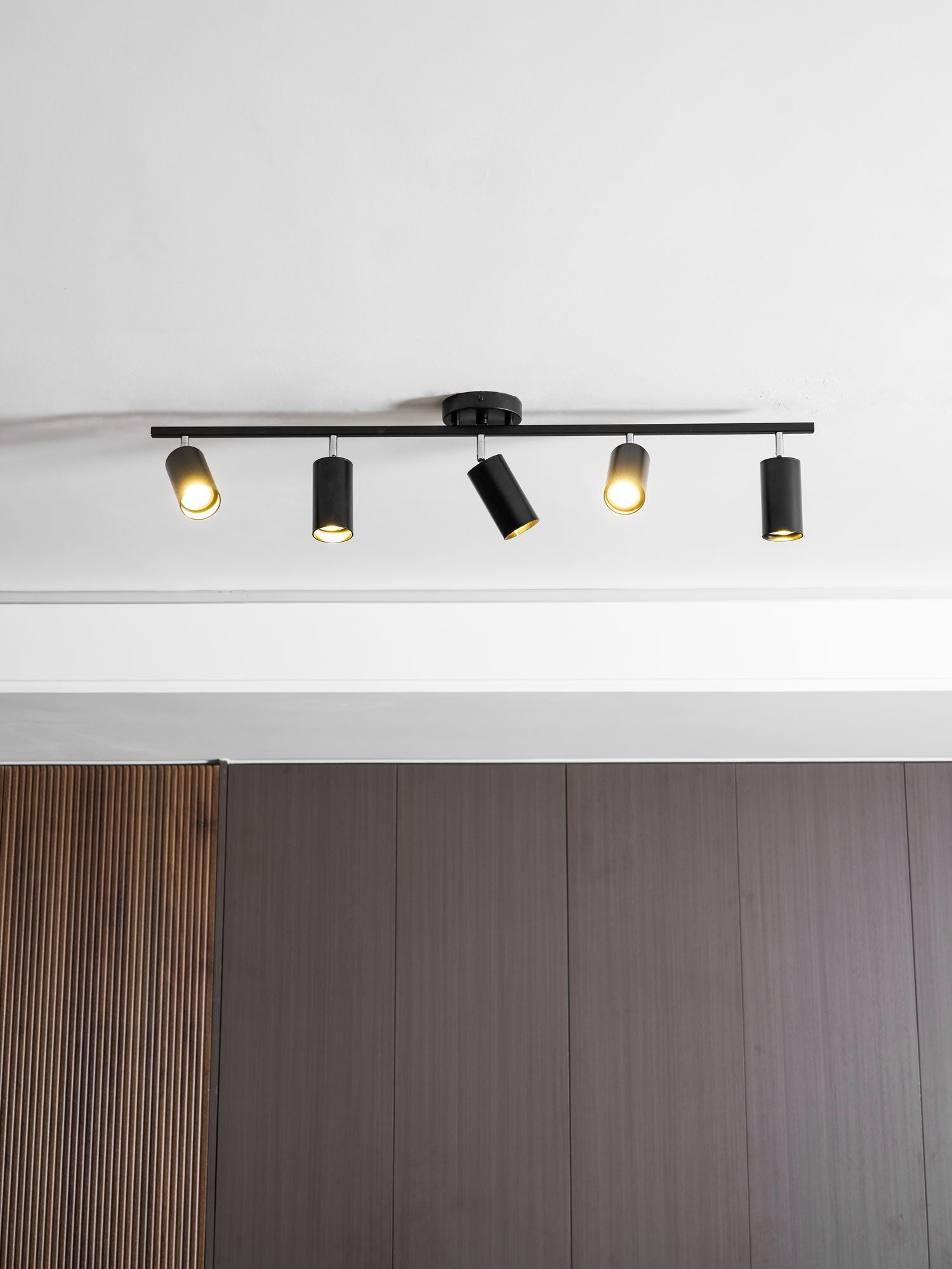 Decorative Ceiling Lights for Living Spaces & Galleries