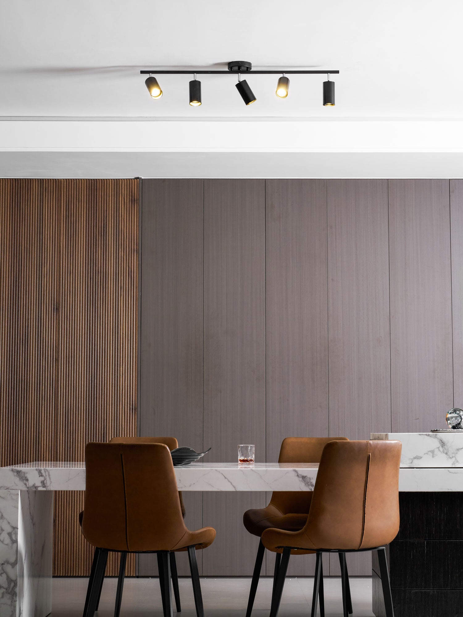 Decorative Ceiling Lights for Living Spaces & Galleries