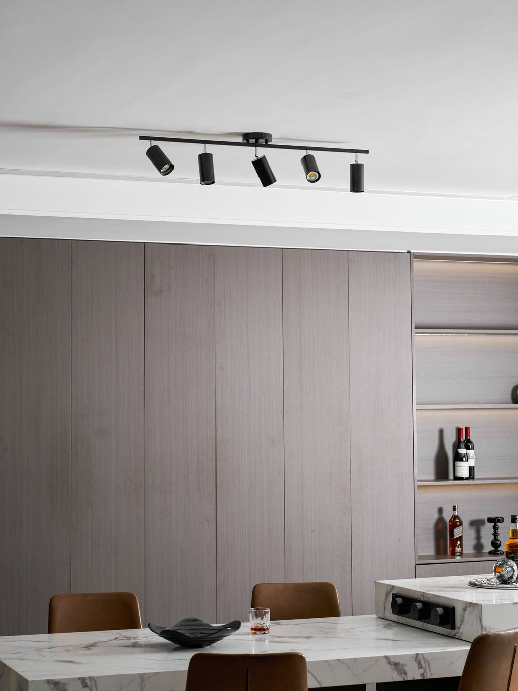 Decorative Ceiling Lights for Living Spaces & Galleries