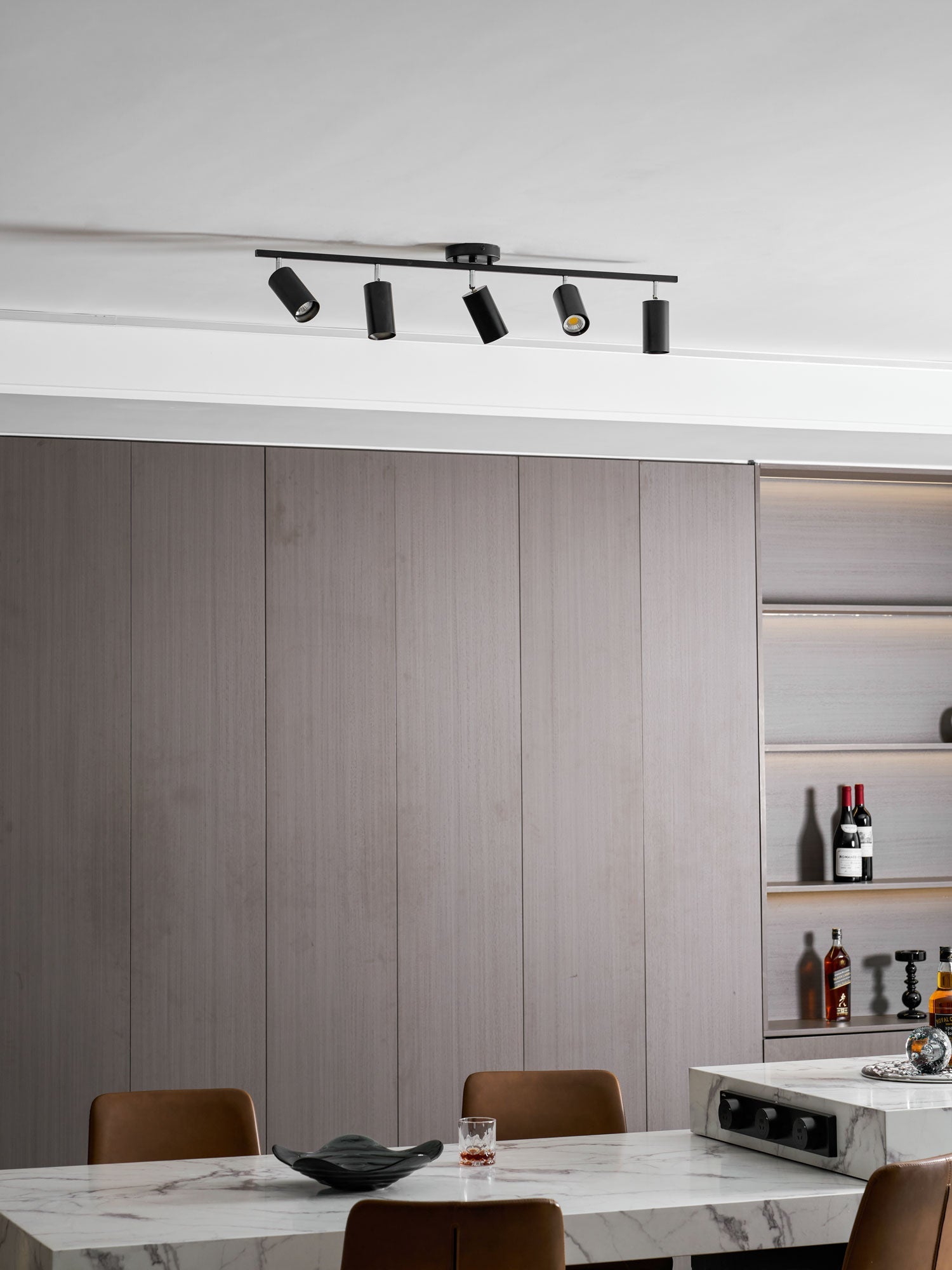 Decorative Ceiling Lights for Living Spaces & Galleries