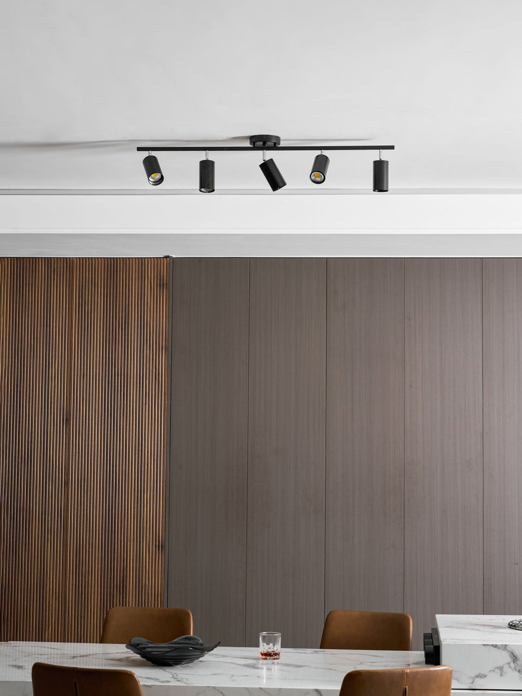 Decorative Ceiling Lights for Living Spaces & Galleries