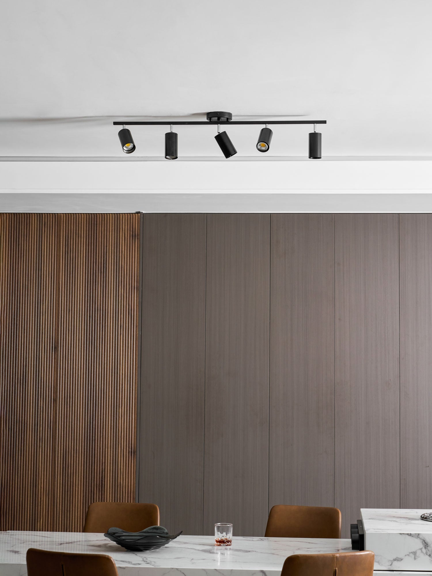 Decorative Ceiling Lights for Living Spaces & Galleries