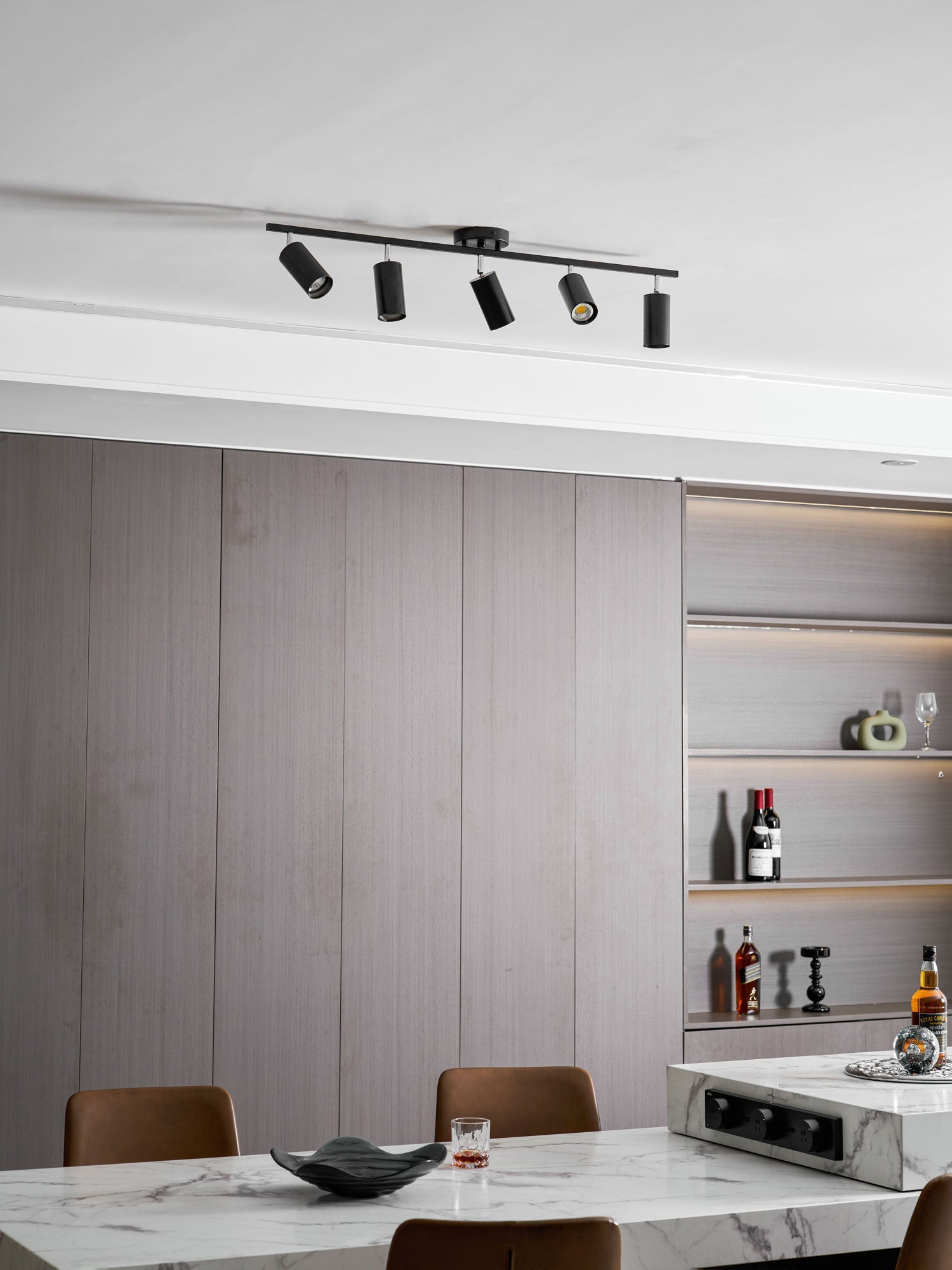 Decorative Ceiling Lights for Living Spaces & Galleries