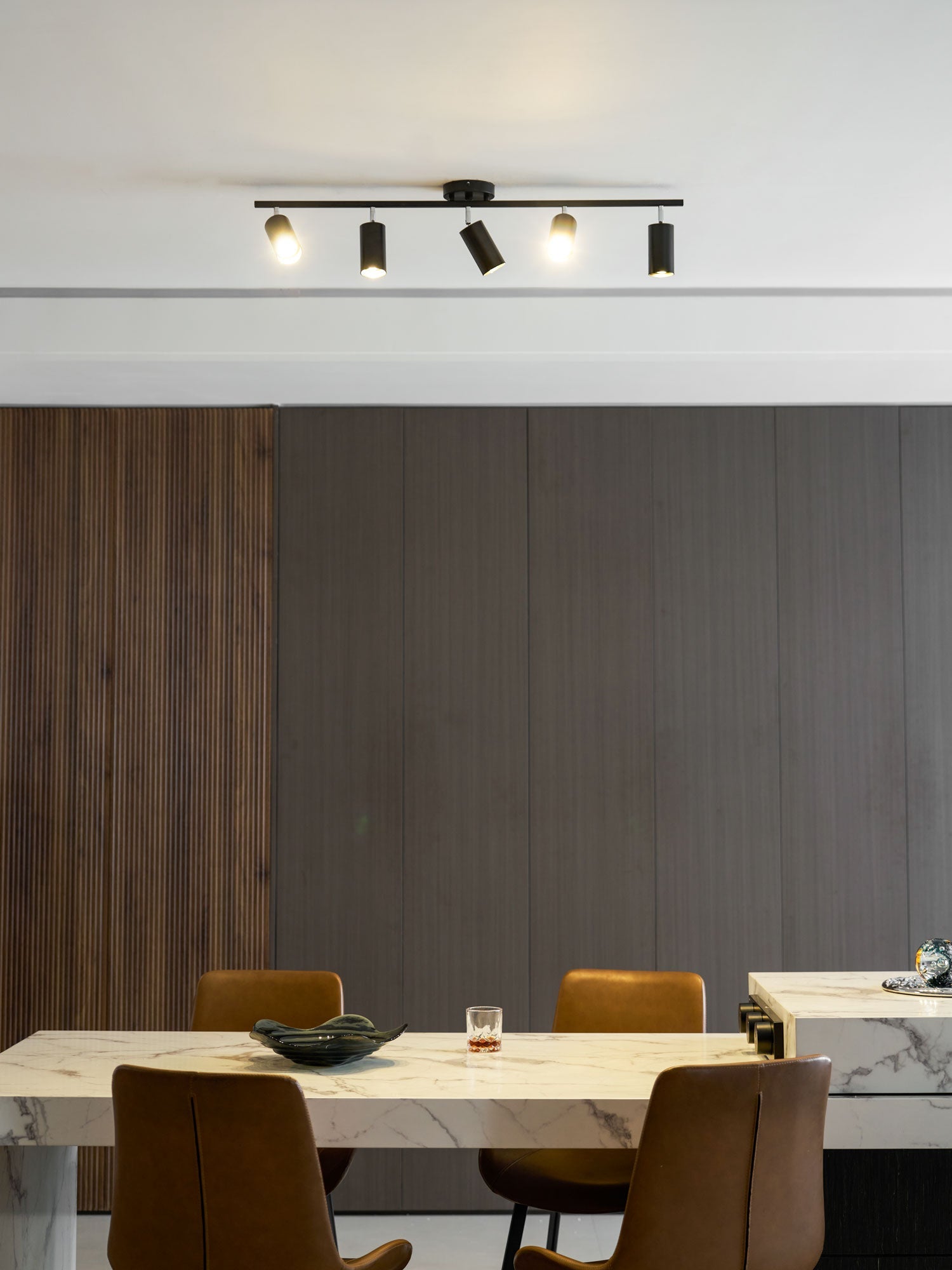 Decorative Ceiling Lights for Living Spaces & Galleries