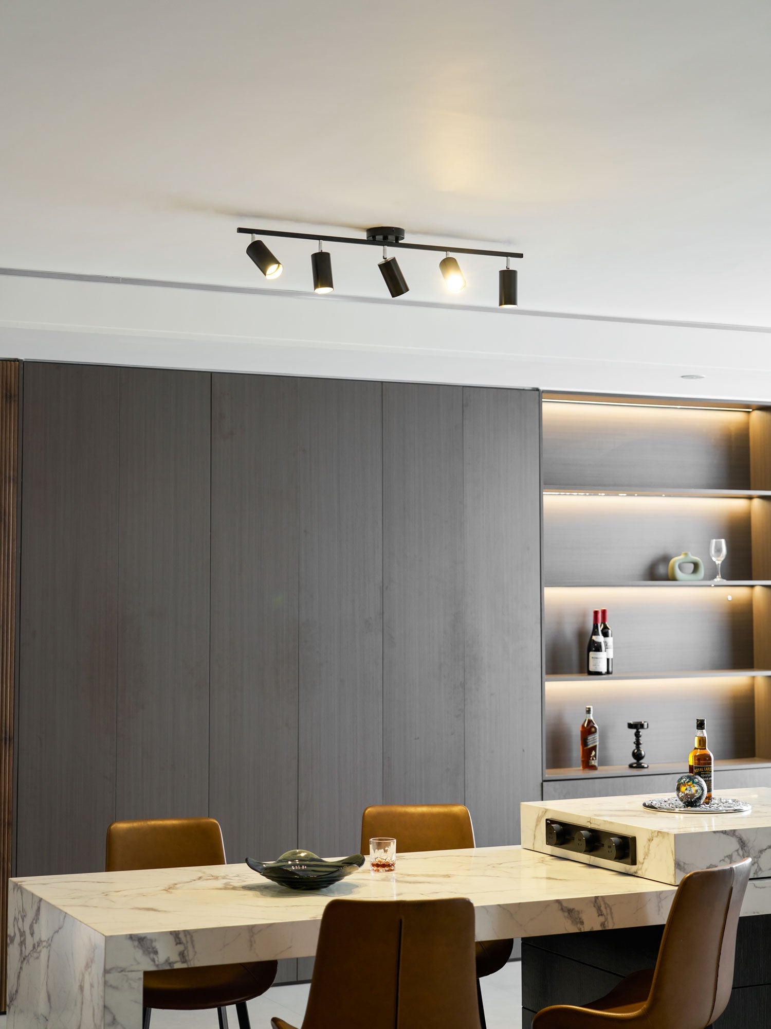 Decorative Ceiling Lights for Living Spaces & Galleries