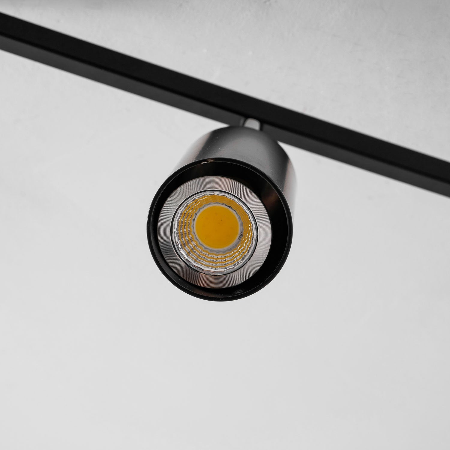Decorative Ceiling Lights for Living Spaces & Galleries