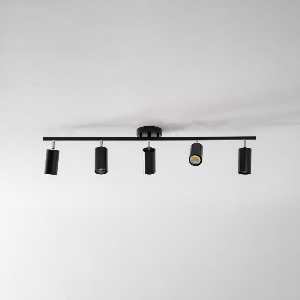 Decorative Ceiling Lights for Living Spaces & Galleries