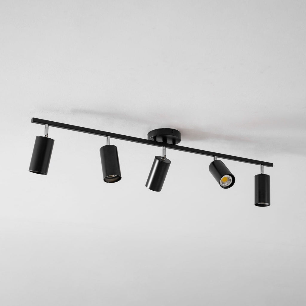 Decorative Ceiling Lights for Living Spaces & Galleries