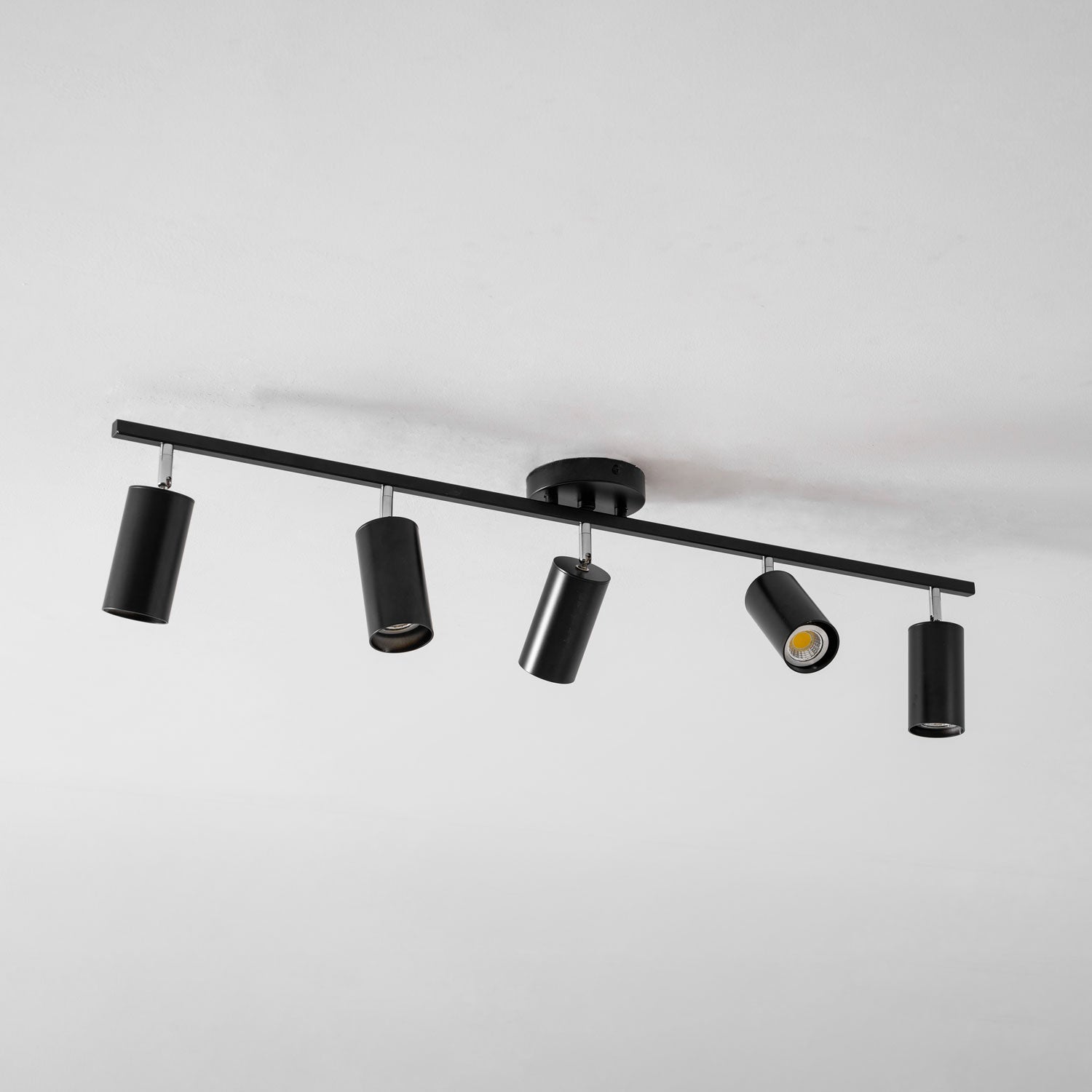 Decorative Ceiling Lights for Living Spaces & Galleries