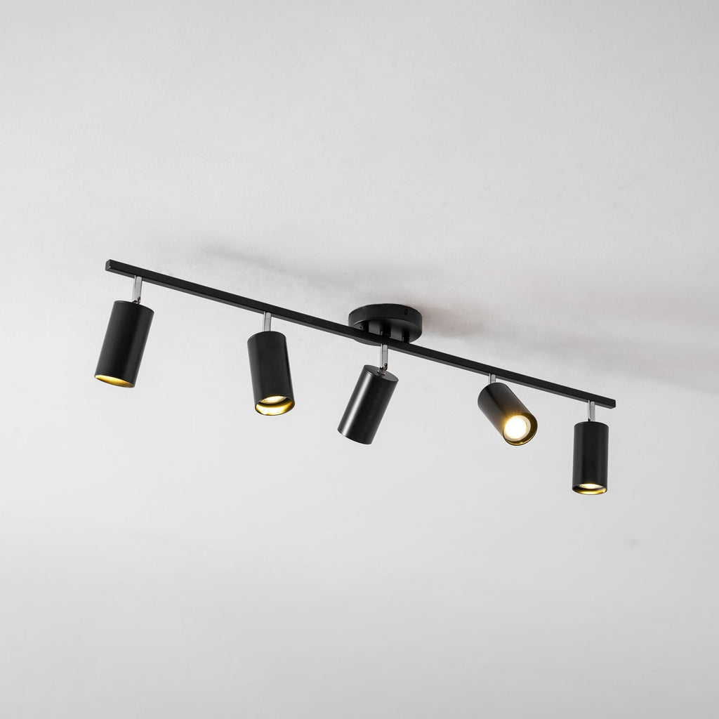 Decorative Ceiling Lights for Living Spaces & Galleries