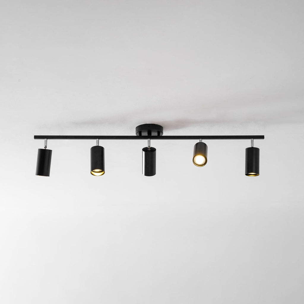 Decorative Ceiling Lights for Living Spaces & Galleries