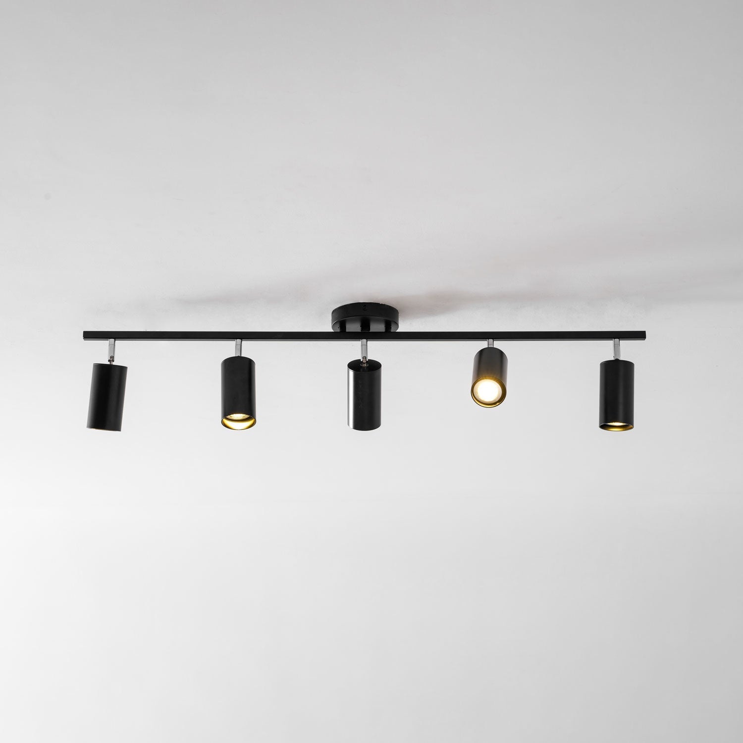 Decorative Ceiling Lights for Living Spaces & Galleries