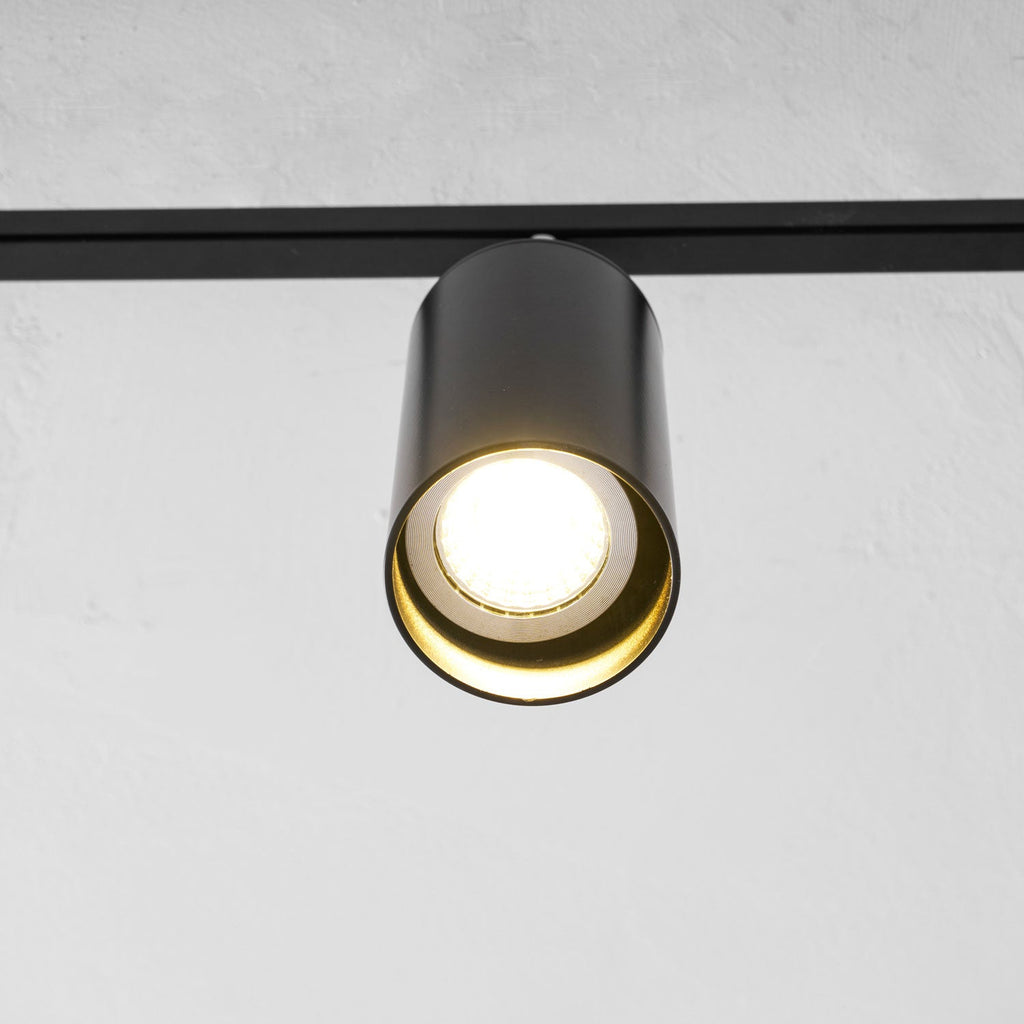 Decorative Ceiling Lights for Living Spaces & Galleries