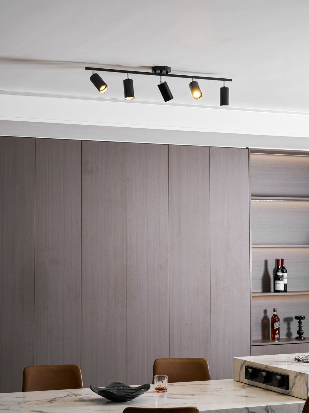 Decorative Ceiling Lights for Living Spaces & Galleries