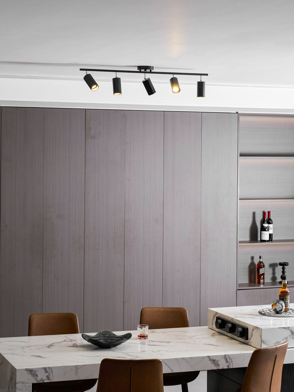 Decorative Ceiling Lights for Living Spaces & Galleries