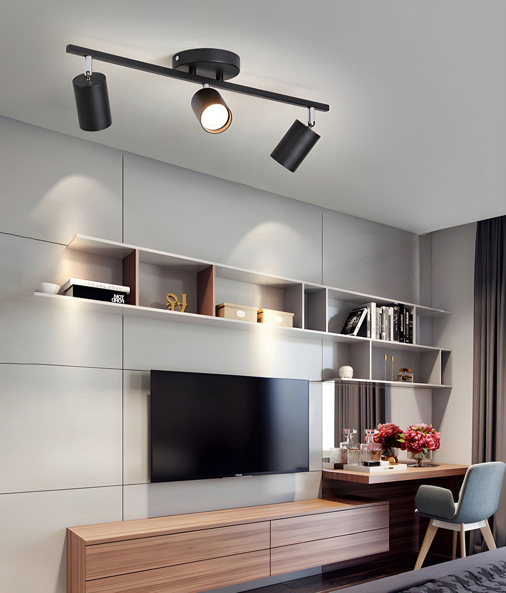 Decorative Ceiling Lights for Living Spaces & Galleries