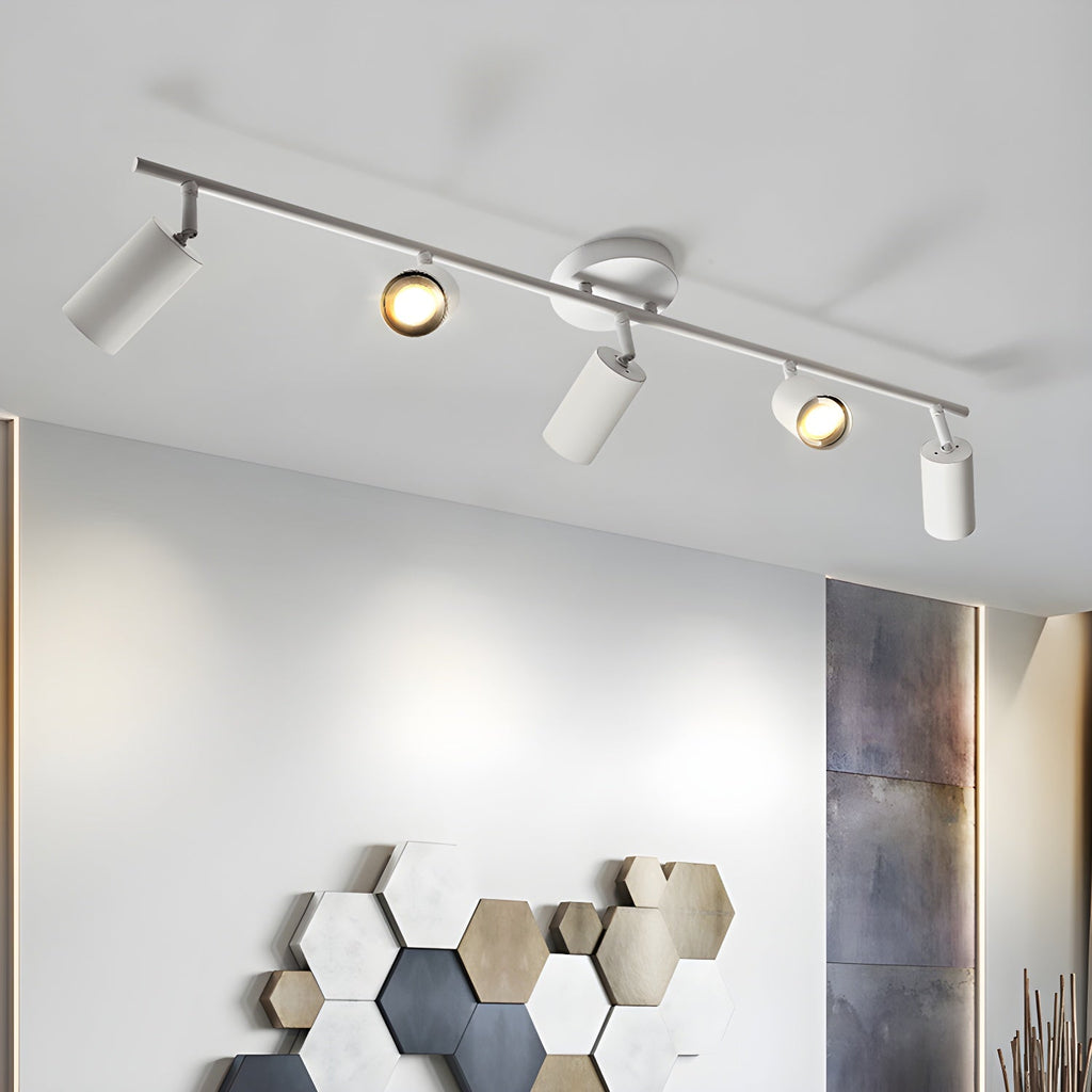 Decorative Ceiling Lights for Living Spaces & Galleries