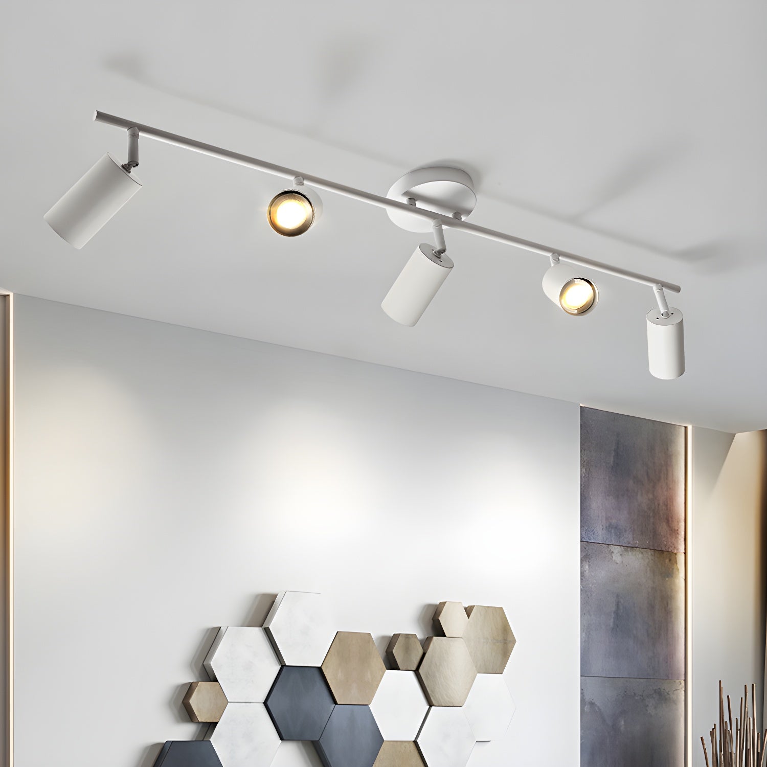 Decorative Ceiling Lights for Living Spaces & Galleries