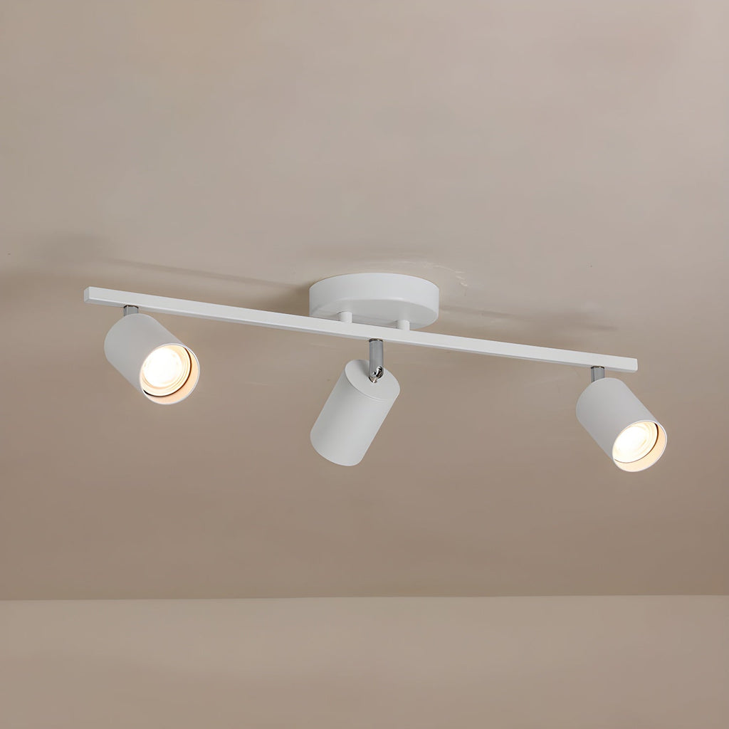 Decorative Ceiling Lights for Living Spaces & Galleries