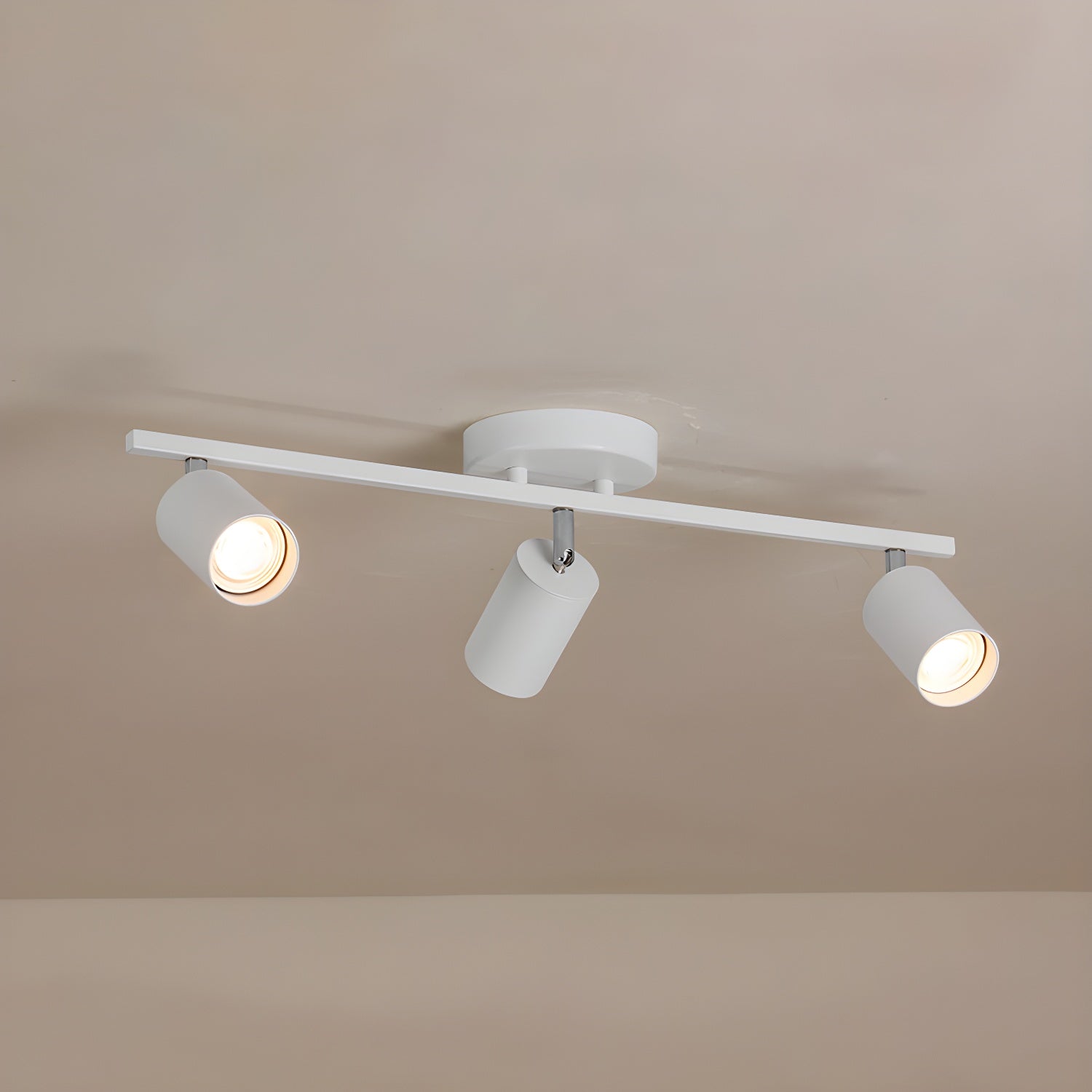 Decorative Ceiling Lights for Living Spaces & Galleries