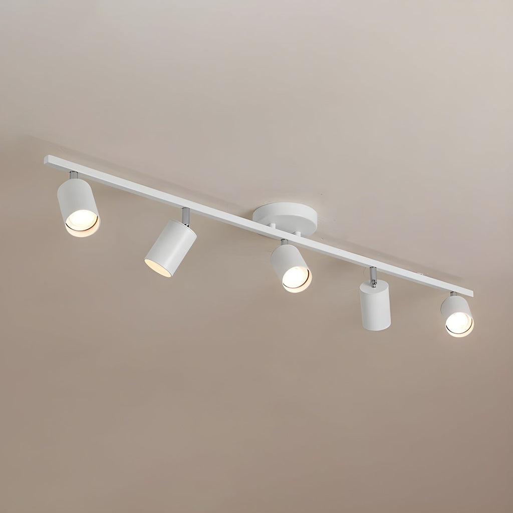 Decorative Ceiling Lights for Living Spaces & Galleries