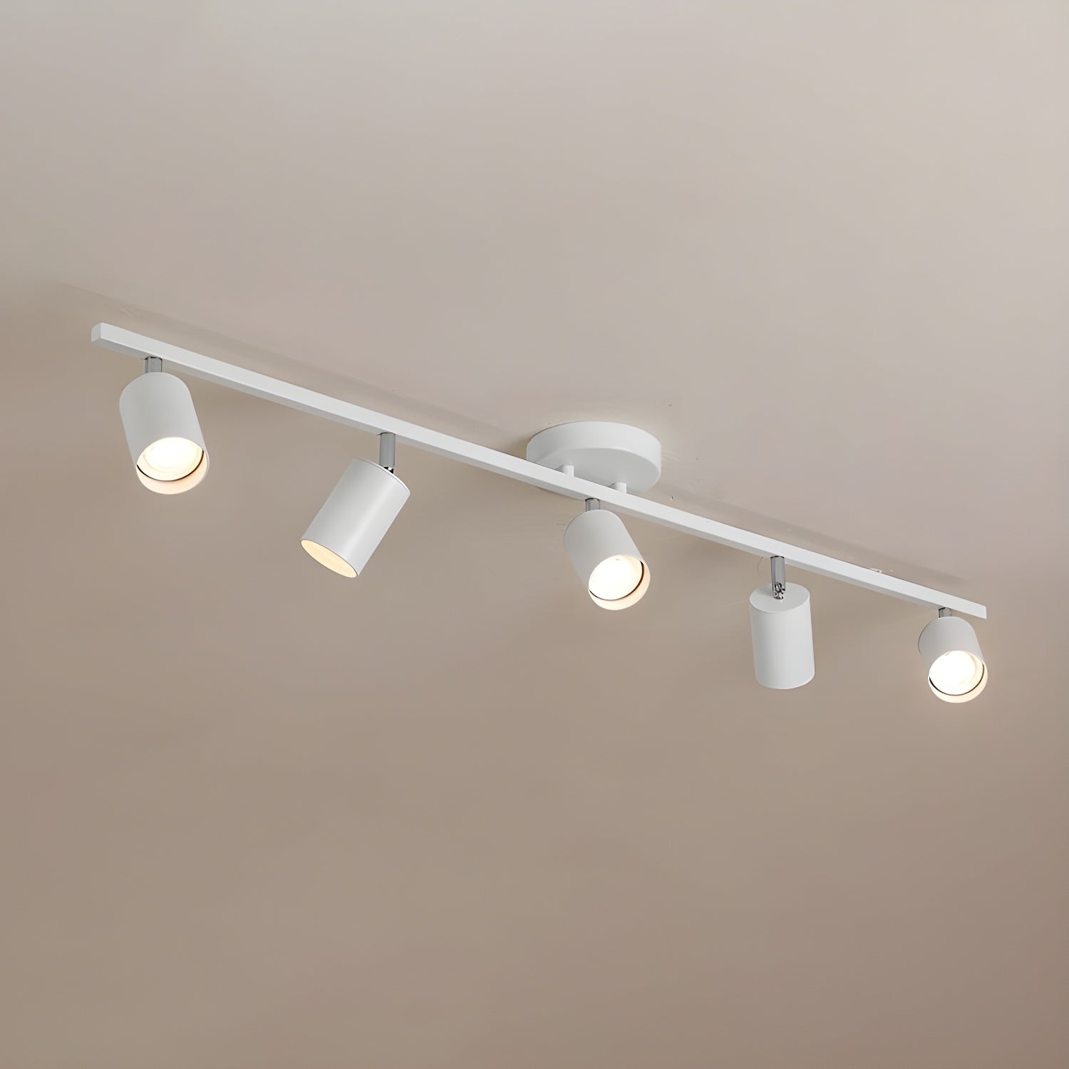Decorative Ceiling Lights for Living Spaces & Galleries