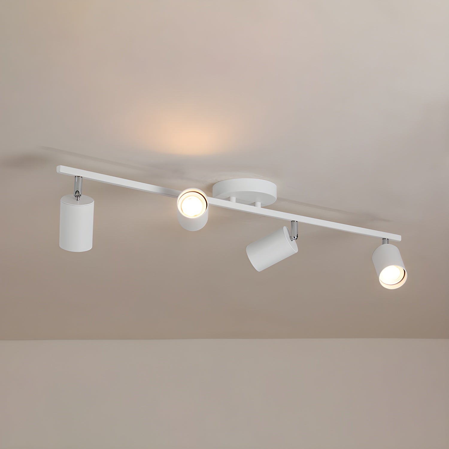 Decorative Ceiling Lights for Living Spaces & Galleries