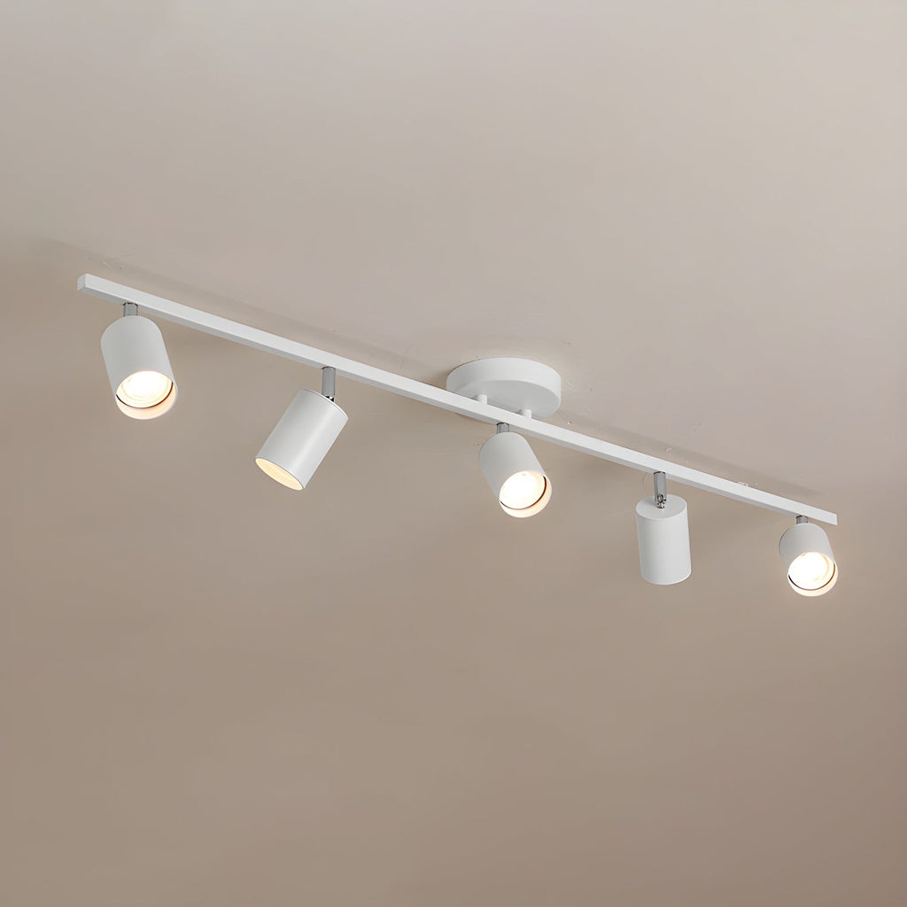 Decorative Ceiling Lights for Living Spaces & Galleries