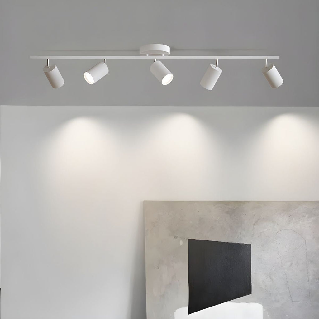 Decorative Ceiling Lights for Living Spaces & Galleries