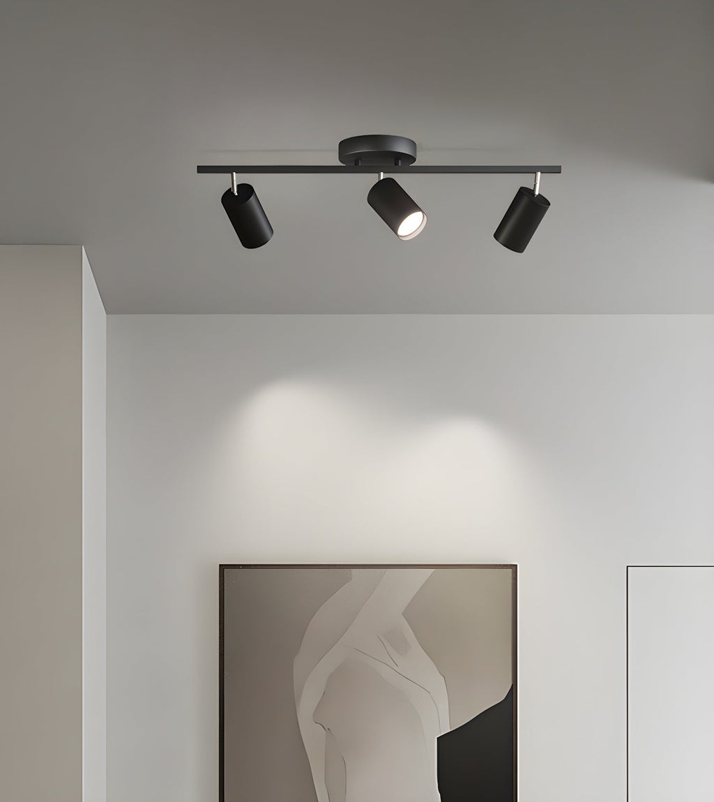 Decorative Ceiling Lights for Living Spaces & Galleries