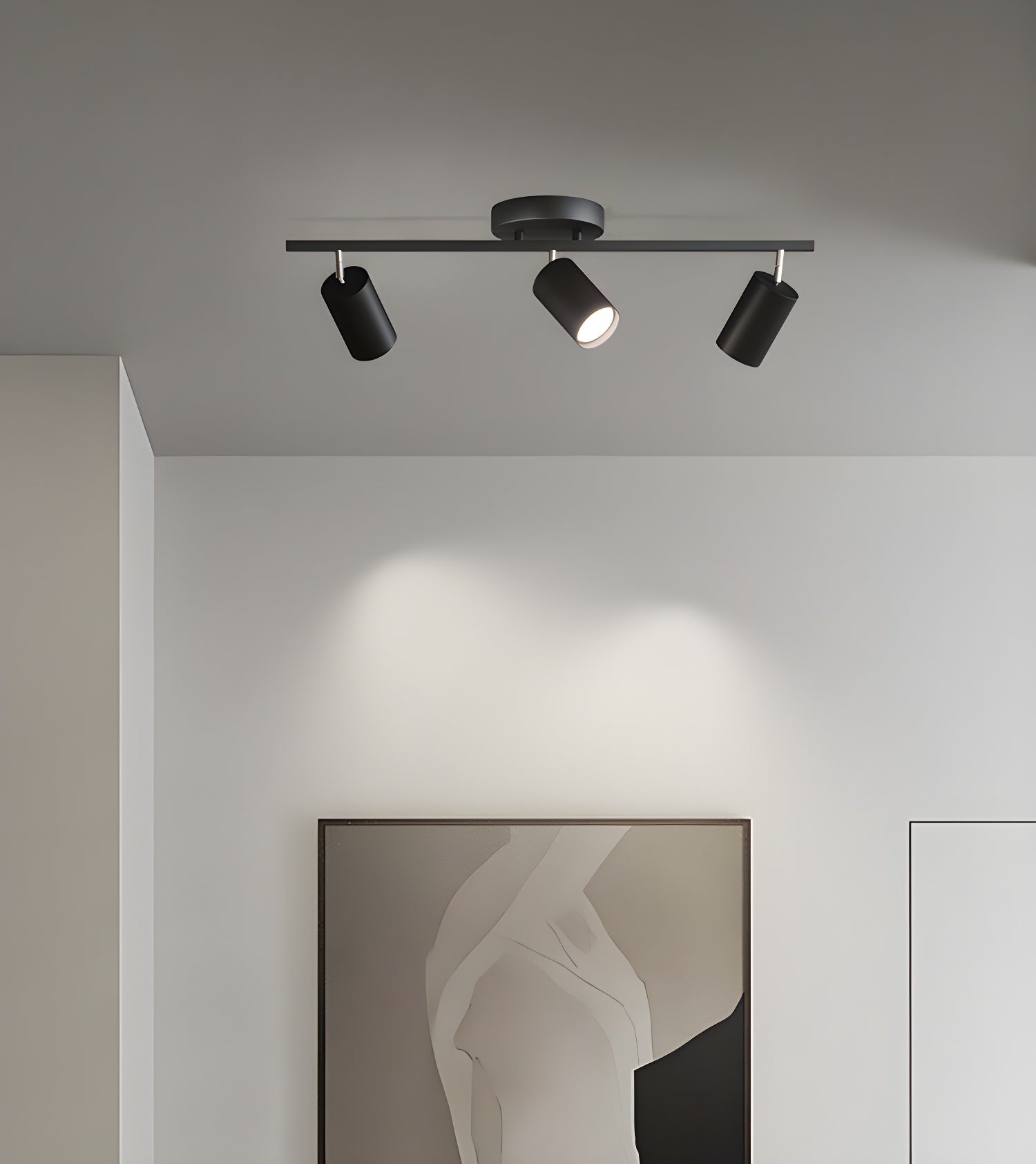 Decorative Ceiling Lights for Living Spaces & Galleries
