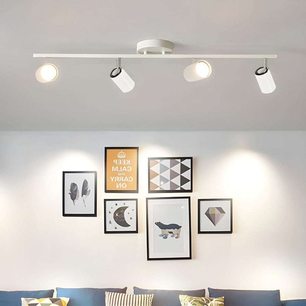 Decorative Ceiling Lights for Living Spaces & Galleries