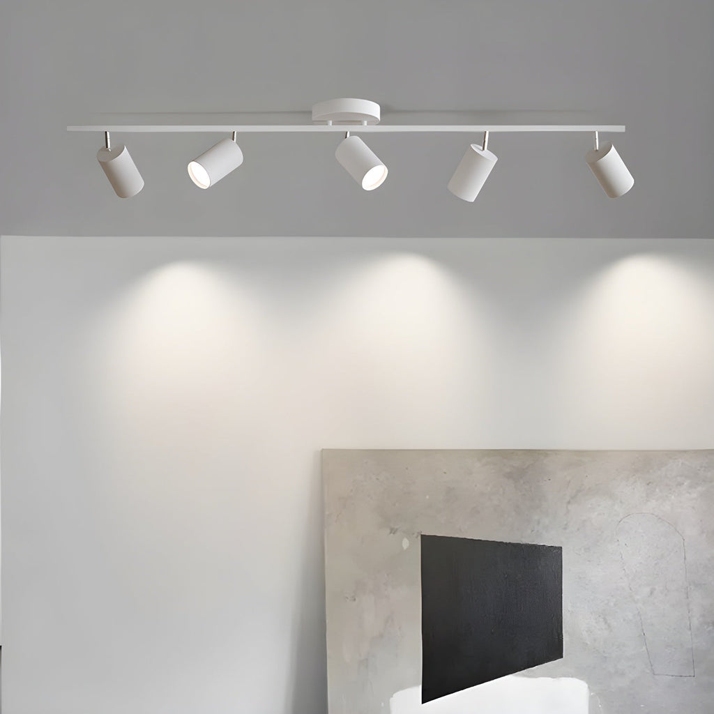 Decorative Ceiling Lights for Living Spaces & Galleries