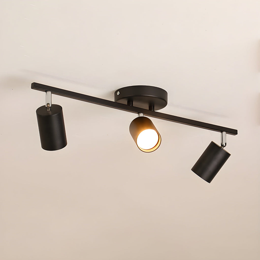 Decorative Ceiling Lights for Living Spaces & Galleries