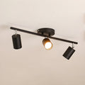 Decorative Ceiling Lights for Living Spaces & Galleries