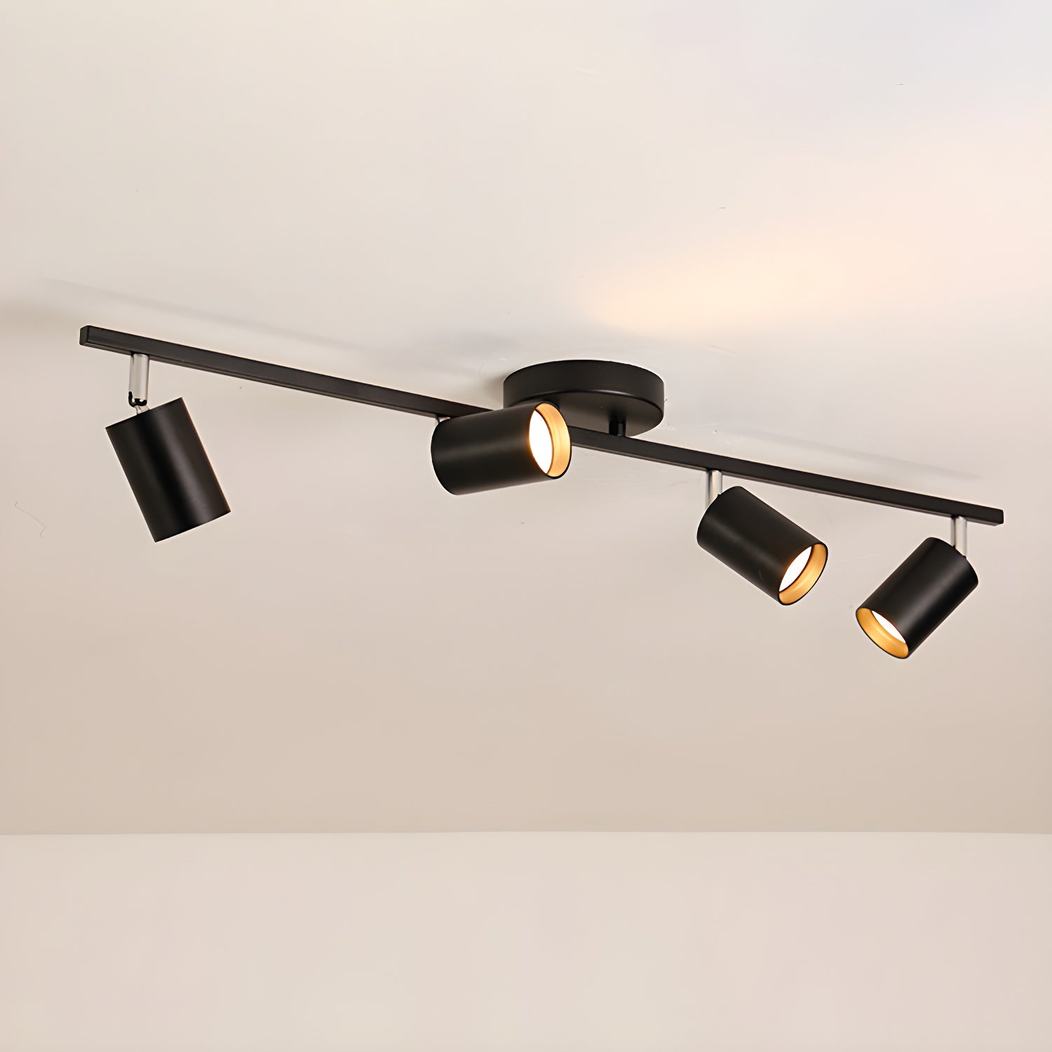 Decorative Ceiling Lights for Living Spaces & Galleries